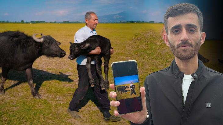 Tokatlı Fotoğrafçı Dünya İkincisi: Anne Manda ve Buzağıyla Yarışmayı Gördüren Anlar