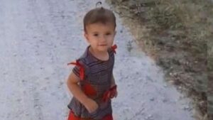 Tol Yaylası’nda Traktör Kazası: 2 Yaşındaki Kızımız Ağır Yaralandı