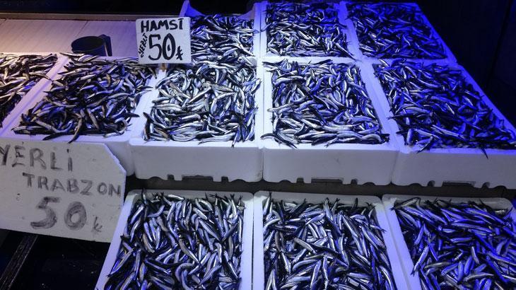 Trabzon’da Hamsi Zamanı: Fiyatlar Düşüşte, Bolluk Sürüyor
