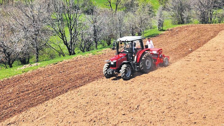 Türkiye Tarımsal Üretim Görünümü: Yağış Dengesizlikleri ve Ekim Adayları