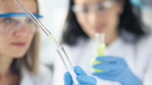 Türkiye, Uluslararası Patentlerde Kadın Buluşçu Liderliği ve Yerli Başvurularda Rekor Artış