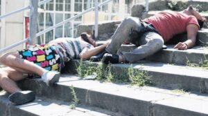 Türkiye’de Bonzai Tehditinin Derinlemesine İncelenmesi ve Dağıtım Ağları