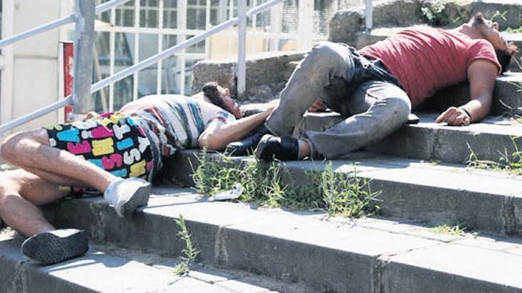 Türkiye’de Bonzai Tehditinin Derinlemesine İncelenmesi ve Dağıtım Ağları