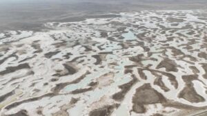 Tuz Gölü: Küçülmenin Büyüyen Ölçüleri ve Acil Önlemler