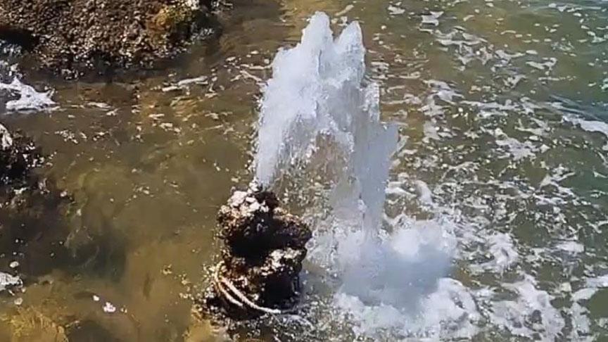 Van Gölü’nün Çıkış Noktalarındaki Tatlı Su Görünümü: Mikrobiyalitler ve Doğal Sırlar