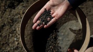 Van İremir Höyüğü’nde Erken Tunç Çağı Depo ve Mutfak Bulgularıyla Tarımsal Merkez Olarak Öne Çıkan Yeni Veriler