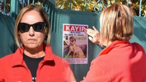 Yaşar İçin Umut Çalışması: 50 Bin Liralık Ödülle Köpeğin İzinde