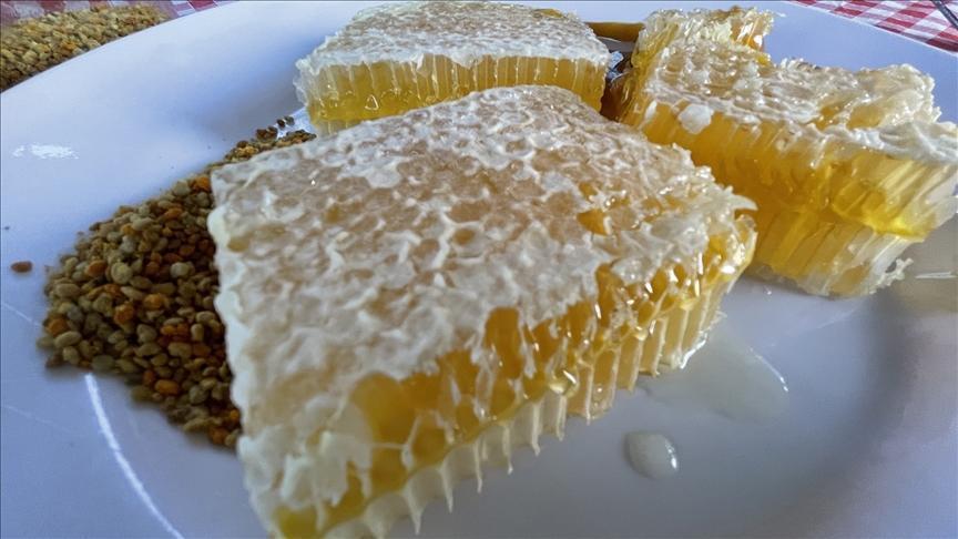 Yenice Ihlamur Balı AB Coğrafi İşaret ile Tescil Edildi: Türkiye’nin 43. Coğrafi İşaretli Ürünü