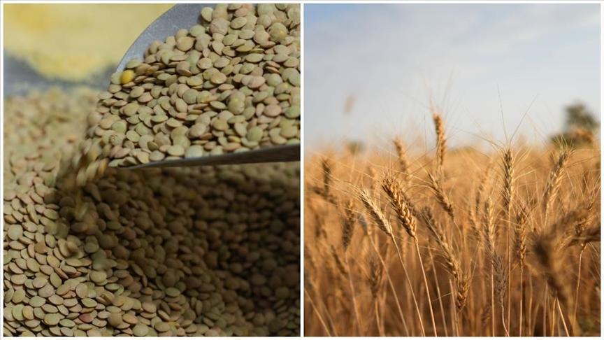 Yeşil Mercimek ve Yulaf İçin İthalat Vergilerinde Yeni Düzenleme: 30 Nisan 2026’ya Kadar Uygulanacak Oranlar