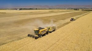 Açıktan Atama ile 42 Uzman Sözleşmeli Personel İçin Yazılı ve Sözlü Seçme Sınavı Duyurusu