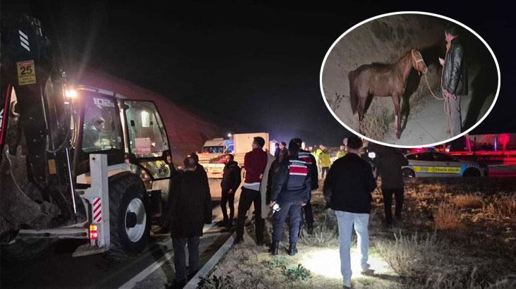 Akçadağ’da Sultansuyu Tesisinden Kaçan Yarış Tayları Trafikte Kaza Yaptı: 8 Ölüm, 2 Yaralı