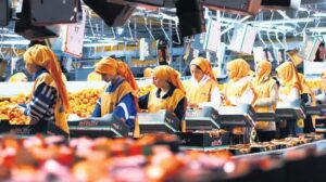 Altun Gıda: Üretimde Dönüşüm ve Büyüme Hedefleriyle Halka Arz Yolunda