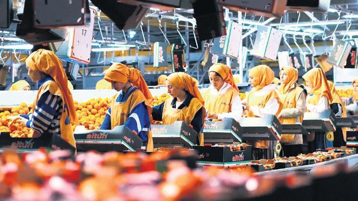 Altun Gıda: Üretimde Dönüşüm ve Büyüme Hedefleriyle Halka Arz Yolunda