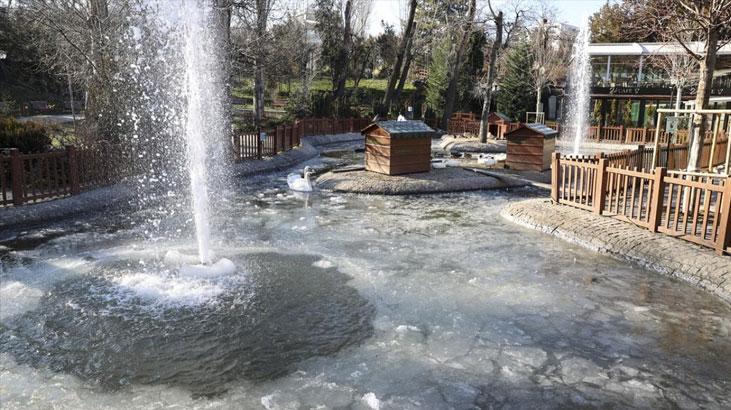 Ankara’da Hava Durumu ve Zirai Don Uyarısı: Soğuk Hava Önümüzdeki Günlerde Etkisini Sürdürüyor
