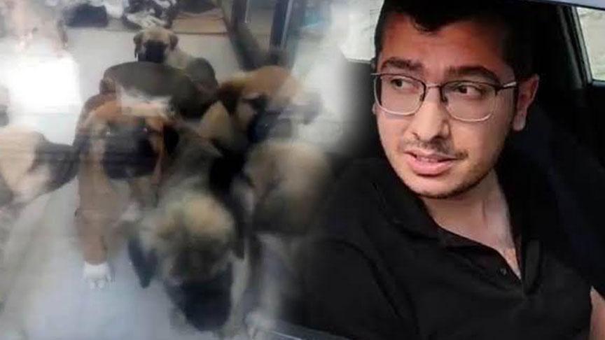Ankara’da Köpek Katliamı Davasında Hapis ve Para Czası Kararı
