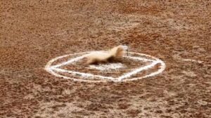 ASELSAN ve Baykar İş Birliğinde Mavi Vatan İçin Yeni Atış Testleri ve Teknolojik Özellikler