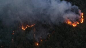 Başoba Köyündeki Yöresel Ormancı Yangını: 135 Personel ve 32 Araçla Müdahale