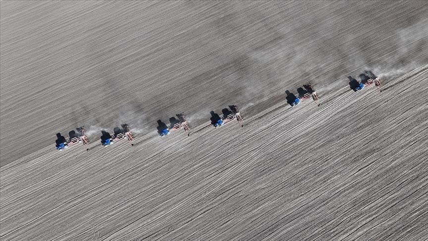 Bitki Islahı Kongresi: Bilimsel İşbirliği ve Gıda Güvenliğine Yeni Ufuklar