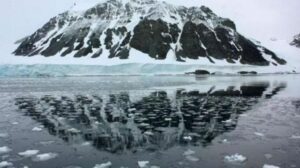 Denman ve Shackleton Buz Sahanlıklarında Argo Robotu ile Sıcaklık-Tuzluluk Verileri: Gizli Dalgaların Keşfi