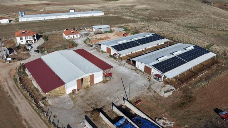 Devlet Desteğiyle Modern Çiftlik: Elazığ’da 300 Büyükbaşlık Başarı Hikayesi