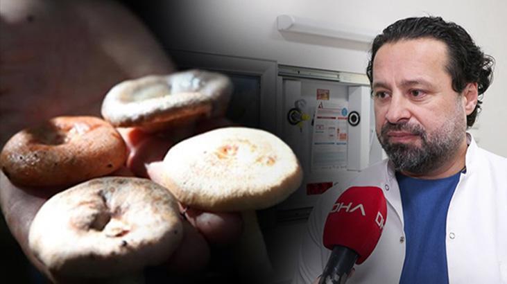 Doğadan Toplanan Mantarlar ve Zehirlenme Riski: Uzmanların Uyarıları