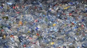 Doğal Kaynakları Koruyan Depozito Yönetim Sistemi: Doğru Geri Dönüşüm İçin Adımlar