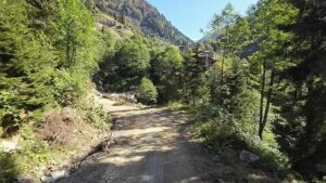 Doğu Karadeniz’de İklim Değişikliği ve Orman Varlığının Korunması