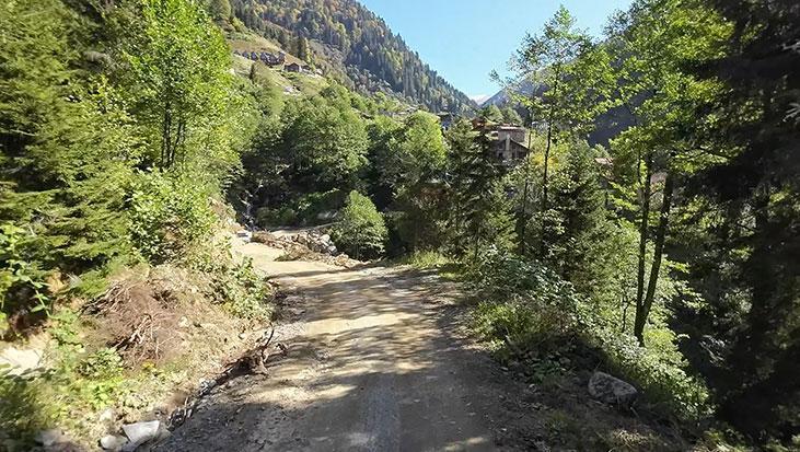 Doğu Karadeniz’de İklim Değişikliği ve Orman Varlığının Korunması