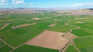 Döşemealtı Altınkale’deki Arsa Dolandırıcılığı: 8 Kişinin Şikayetiyle Başlatılan Suç Duyurusu