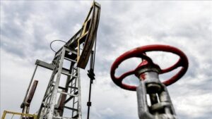 EPDK Ekim 2024 Petrol Piyasası Raporu – Türkiye İç Tüketim ve Uluslararası Tedarik Dinamikleri