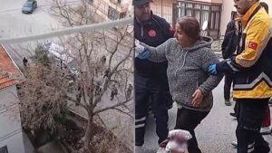 Ergenekon Mahallesi’nde Köpek Saldırısı: Mahalle Şikayetleri ve Yaşam Alanı Güvenliği