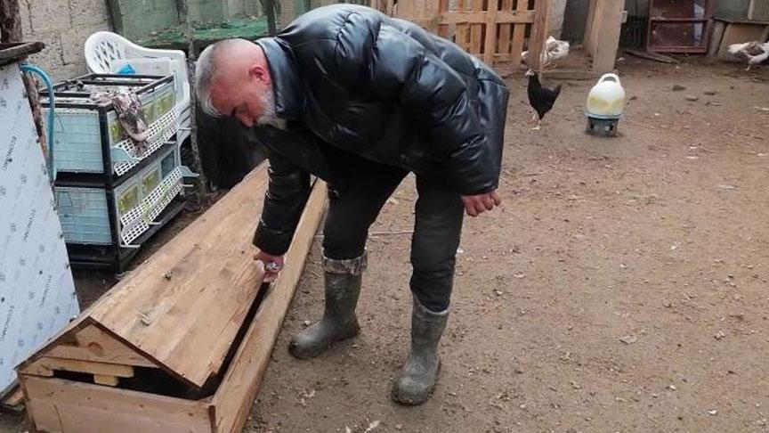 Geri Dönüşümle Civciv Yetiştirme: Ana Kucağı Projesinin Uygulanabilirliği