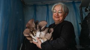 Güzelbahçe’de Mantarcılık İçin Kurslar ve Üretimde Kaydedilen Başarılar