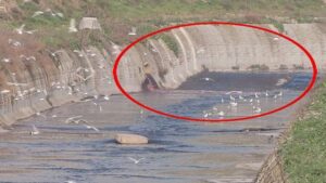 Haramidere’de Kırmızı Renk ve Koku Kirliliği: Esenyurt’taki Fabrika Bölgesinin Etkisi