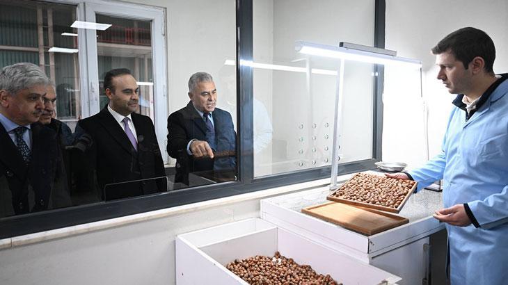 Hendex Projesi: Fındık Kabuğundan Yüksek Katma Değerli Üretime Giden Yol