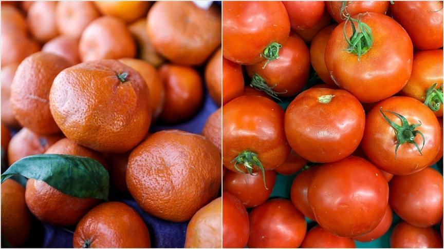 İBB Hal Raporu: Kasım Ayında Bayrampaşa ve Ataşehir Halinde Satılan Ürünler ve Tüketim Verileri