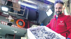 İBB iştirakiyle Kasım Balık Piyasası Verileri: Hamsi ve Diğer Türler İçin Fiyatlar