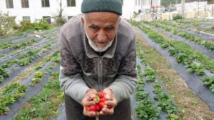 Ibrahim Çakmakçı’nın Hayır Bahçesi: Ücretsiz Dağıtımın Öncüsü ve Trajik Veda