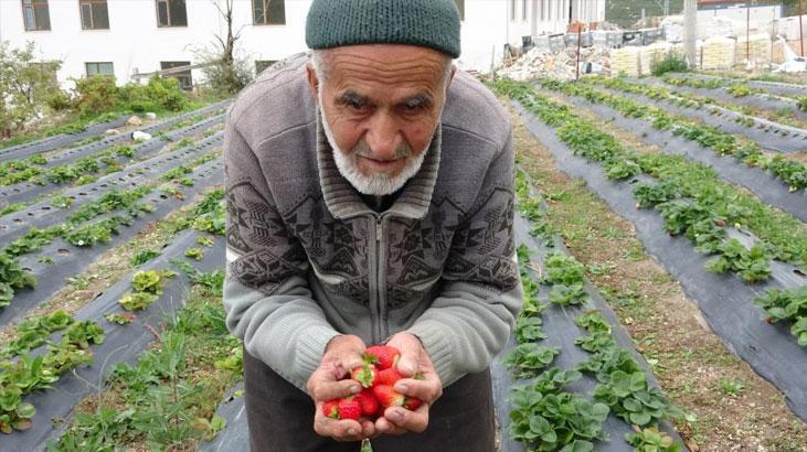 Ibrahim Çakmakçı’nın Hayır Bahçesi: Ücretsiz Dağıtımın Öncüsü ve Trajik Veda
