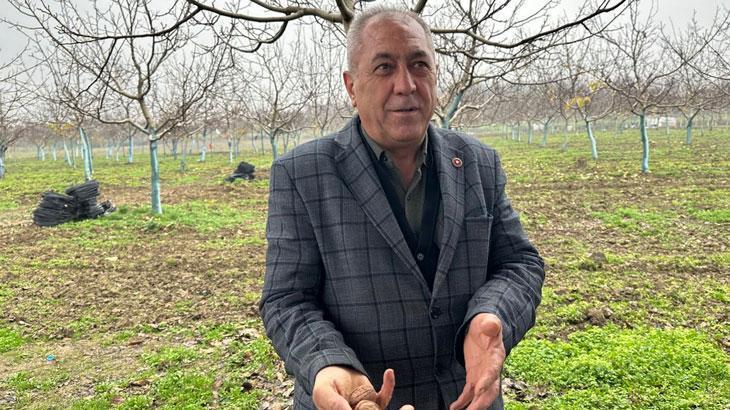 İnegöl’de Ceviz Yetiştiriciliğinde Genç Nesil ve Yatırım Rüzgarı