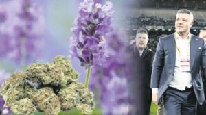 İstanbul’daki Uyuşturucu Soruşturmasında Yeni İfadeler ve Geniş Dalgalar