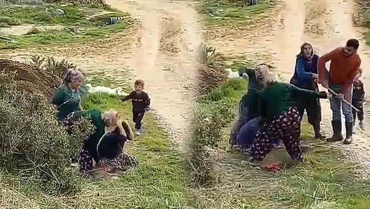 Kabaklar Mahallesi’nde Aile İçinde Yaşanan Bıçak Gibi Tartışma: Kuzenlerin Şiddeti ve Oğul Tepkisi