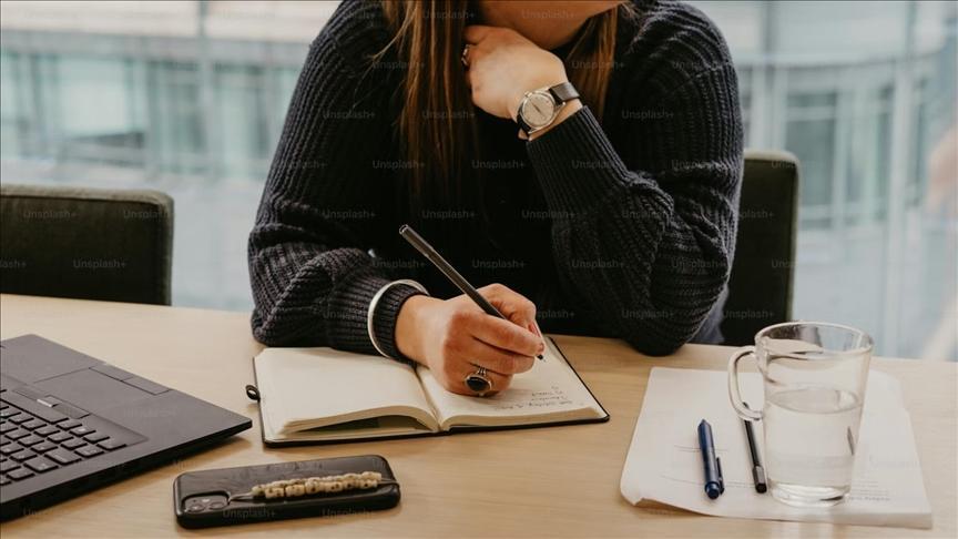 Kamu Teşebbüslerinde Atama, Bütçe ve Şeffaflık Uygulamaları Hakkında Tebliğ Özeti
