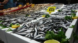 Karadeniz Balık Sezonunda Bolluk ve Fiyat Dalgaları: Hamsi ve İstavrit Öne Çıkıyor