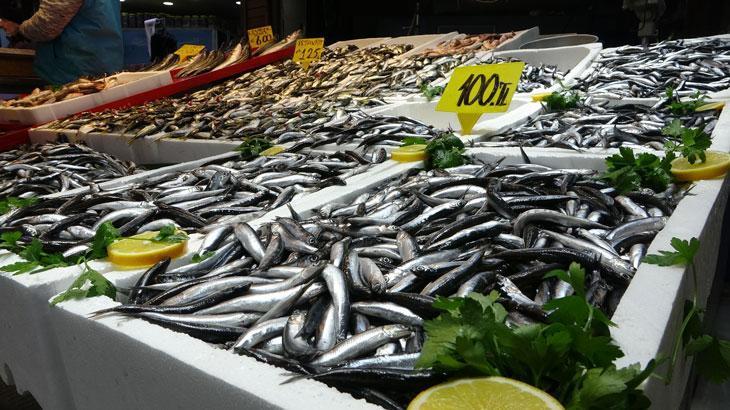 Karadeniz Balık Sezonunda Bolluk ve Fiyat Dalgaları: Hamsi ve İstavrit Öne Çıkıyor