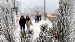 Kars ve Çevresinde Sibirya Soğuğu: Kırağı ve Buzla Kaplı Peyzaj