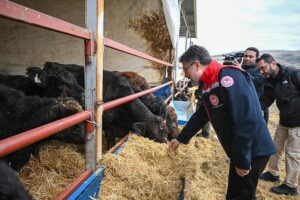 Kırsalda Bereket: Hayvancılığa Destek Projesiyle Genç Girişimciler ve Kadınların Yolculuğu