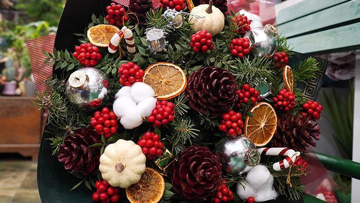 Kokina Çiçeğiyle Yeni Yıla Umut ve Aşk Doyası: Fiyatlar ve Gelenekler