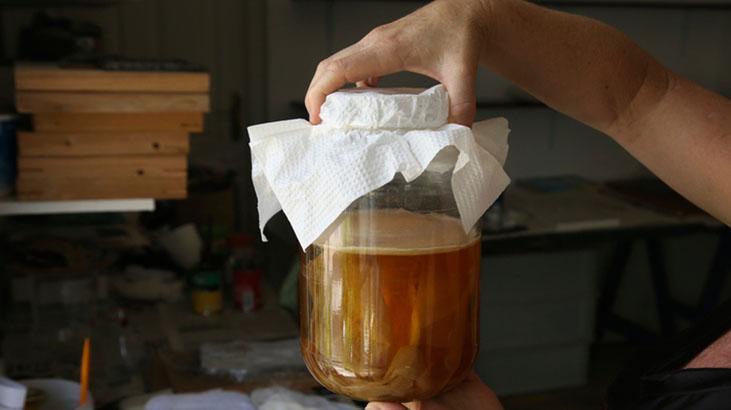 Kombucha: Bağırsak Sağlığına Yönelik Fermente Çayın Güncel Yapısı ve Güvenlik Notları