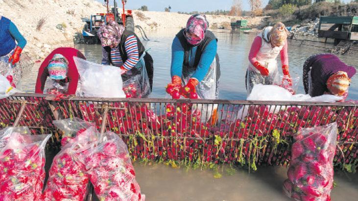 Kooperatiflere Yönelik Yeni Finansman İşbirliği: TESKOMB ve KGF Protokolüyle 4.5 Milyar Liralık Kredi Kapısı